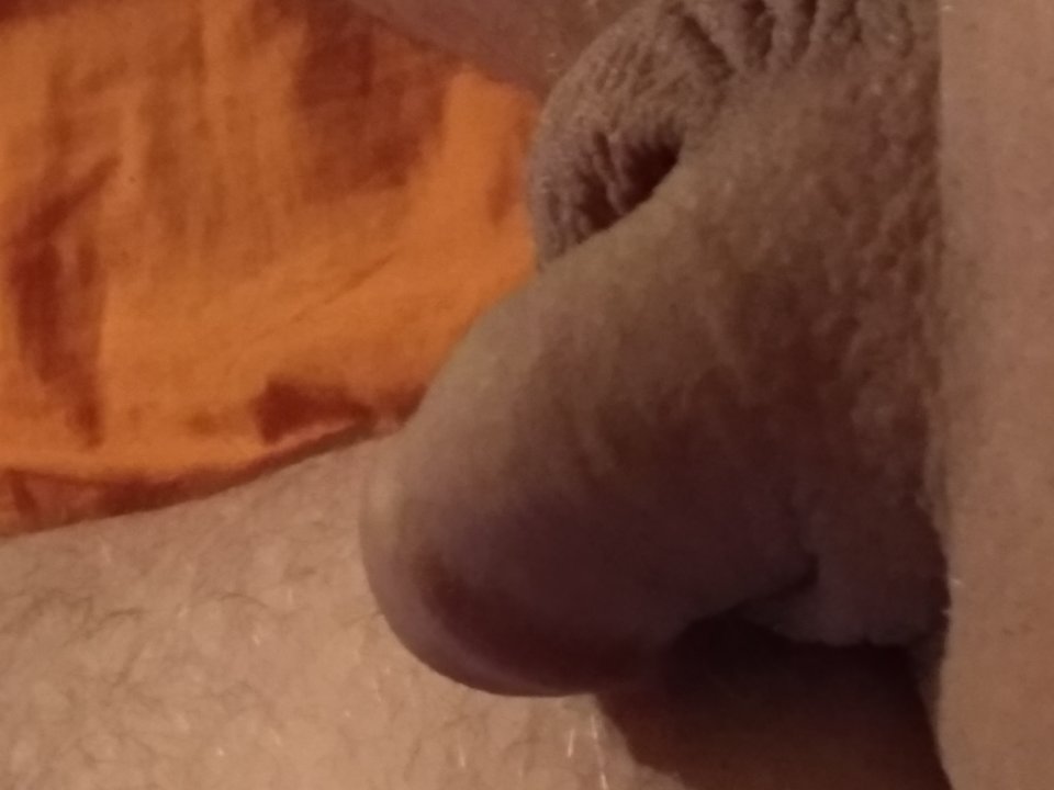 15547517683956739606331894832348.jpg - dupekalex