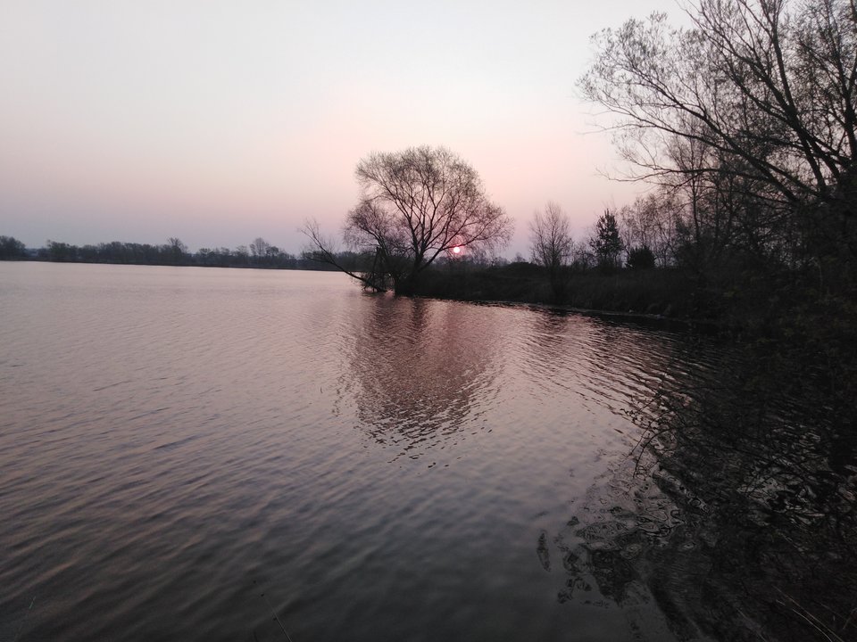 IMG_20190409_062805.jpg - Przemodkl79