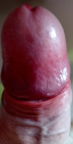 IMG_20190410_144221.jpg