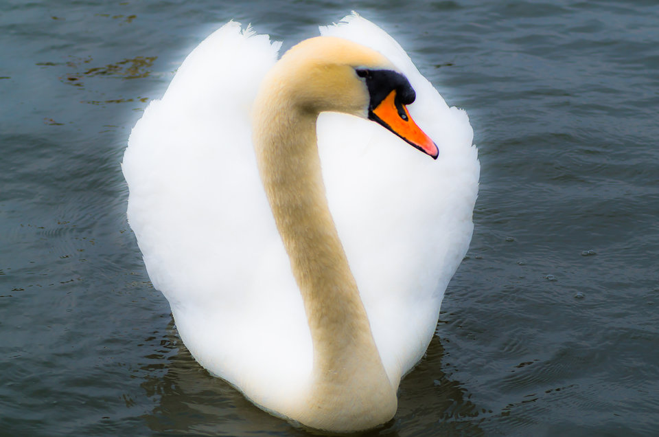 W blasku chwały :) - mystic