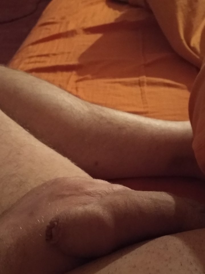 15549262211554891868159661283971.jpg - dupekalex