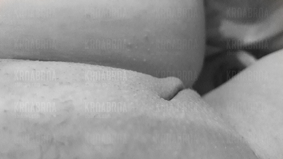 11.jpg - krnabrna