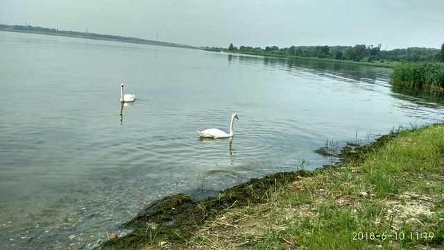 karolzabrze
