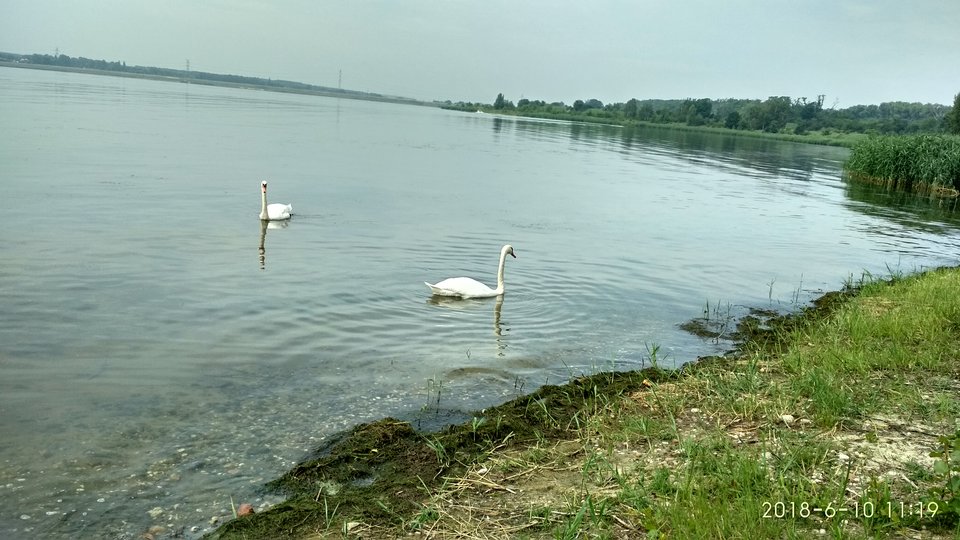 IMG_20180610_111946_HDR.jpg - karolzabrze