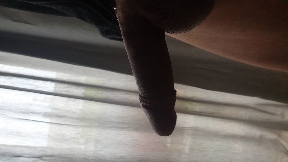 20190411_083716.jpg - zuzel321