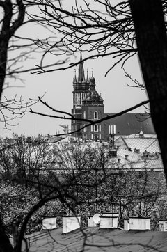 Spacerkiem przez Wawel 7