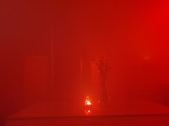 NAKED IN THE FOG - SEX PARTY - 12.04.2019 r. (piątek)