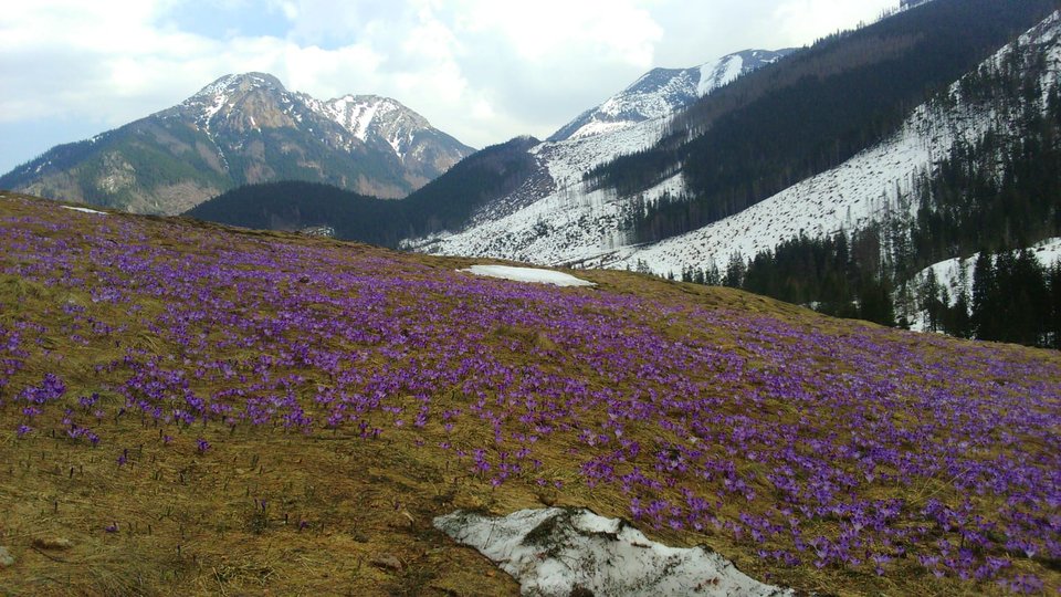 IMG-20190405-WA0000.jpg - Kajtek53_