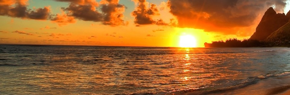 wtle.jpg - przytulenidosiebie