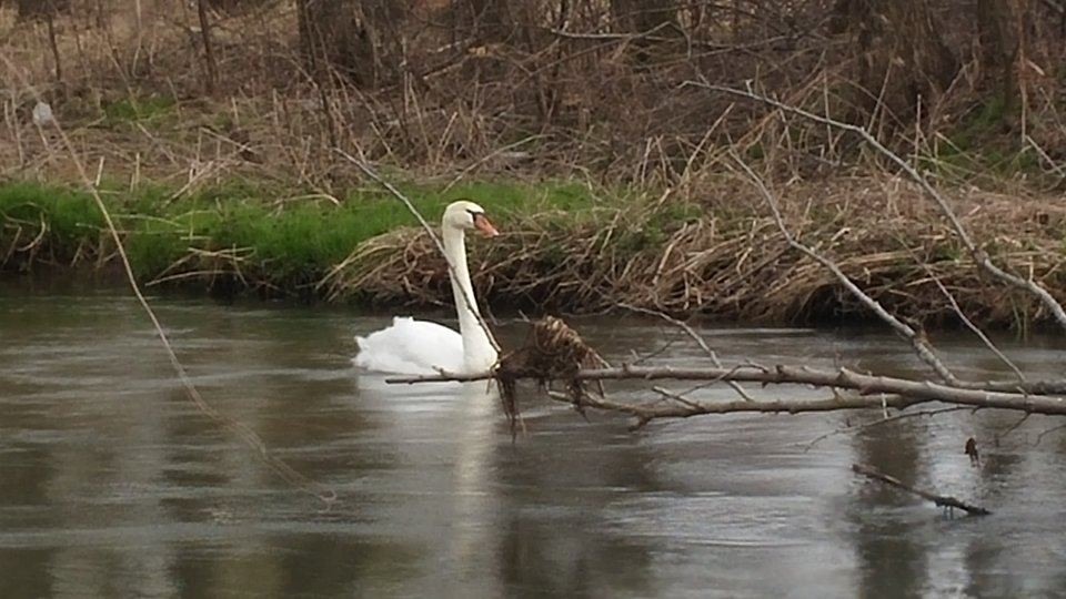 20190329_103649.jpg - MagleLech