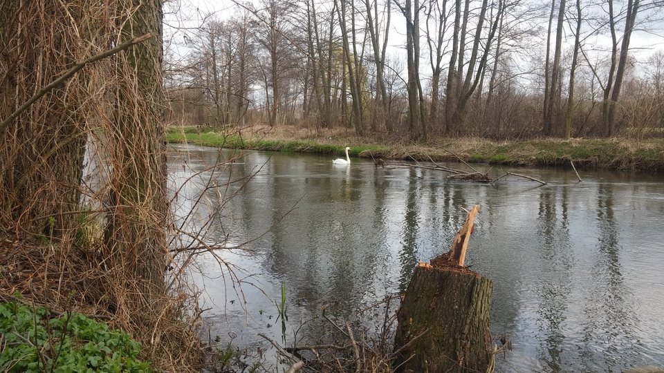 20190329_103640.jpg - MagleLech