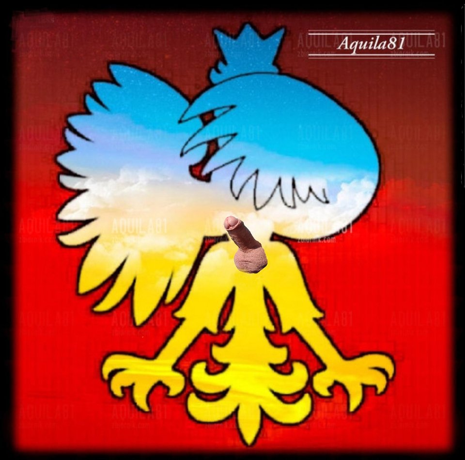 20190413_130432.jpg - aquila81