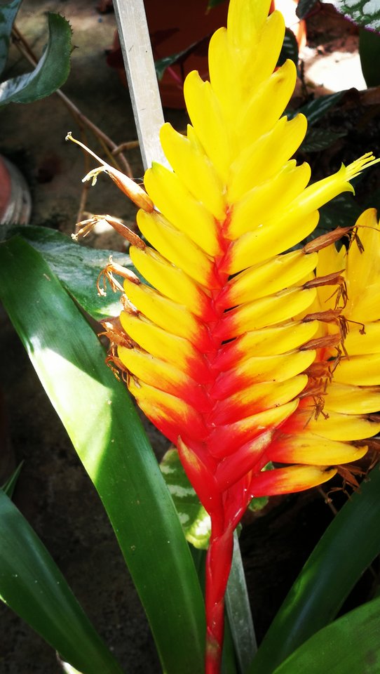 IMG_20190414_142444.jpg - MaciekBoribos