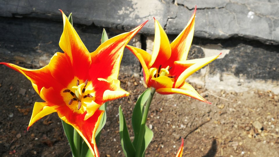 IMG_20190414_142426.jpg - MaciekBoribos