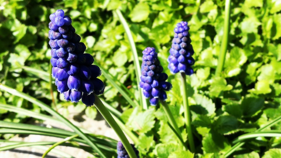 IMG_20190414_142356.jpg - MaciekBoribos