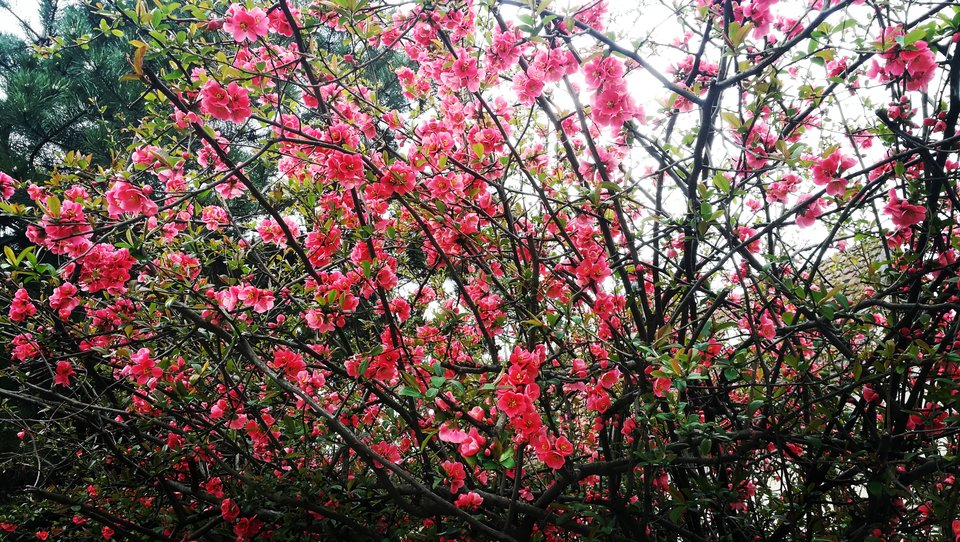 IMG_20190414_142848.jpg - MaciekBoribos