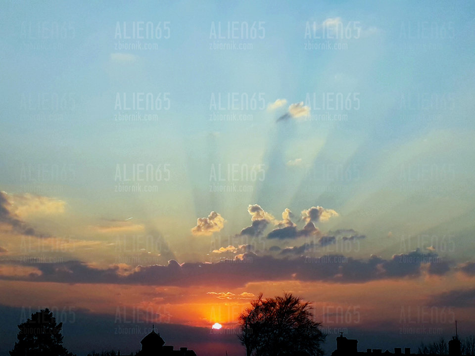 20190412_151652.jpg - Alien65