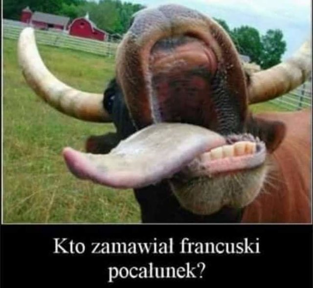 FB_IMG_1552834624059.jpg - migotka321