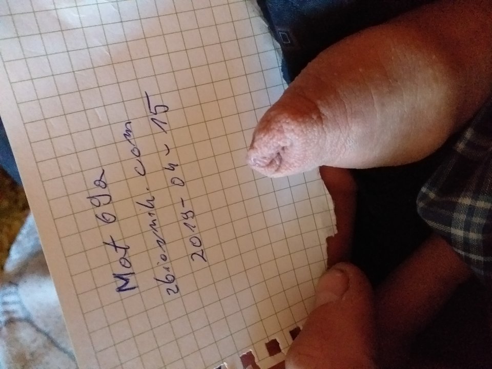 20190415_083036.jpg - Mat69a