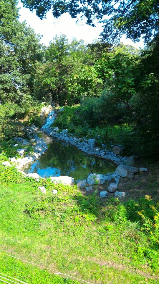 P_20160910_140427.jpg - Mlody69bi