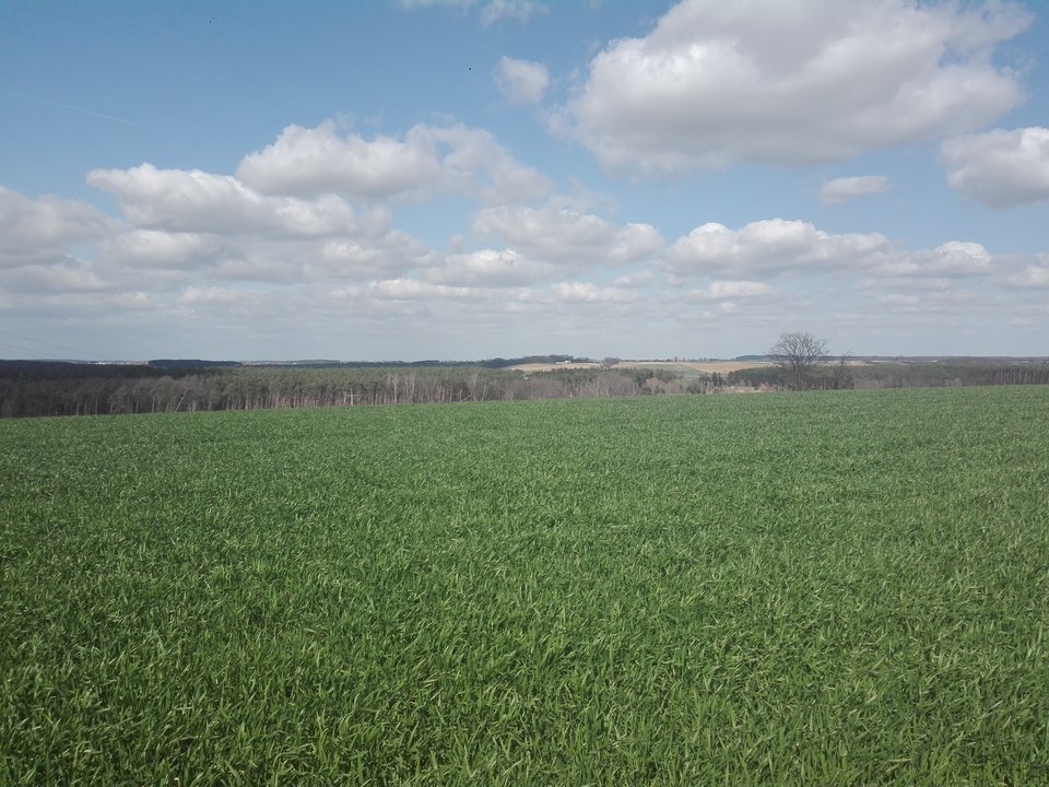 IMG_20190327_125827.jpg - Mich1977