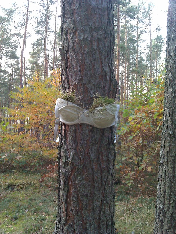 IMAG0449.jpg - afbro