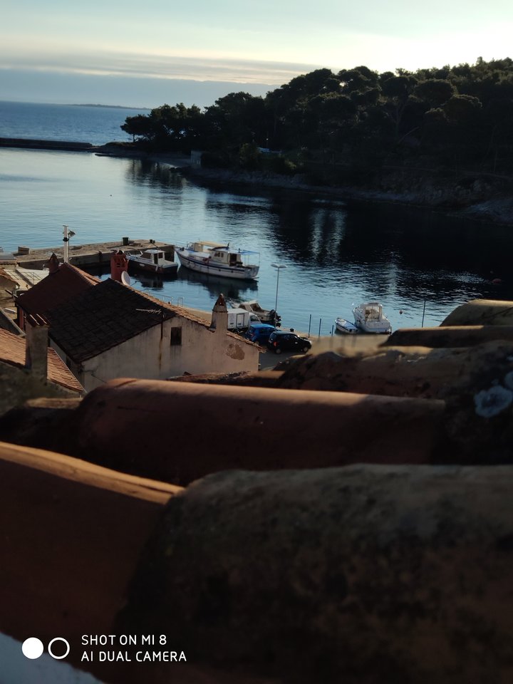 IMG_20190406_080140.jpg - MattVegass