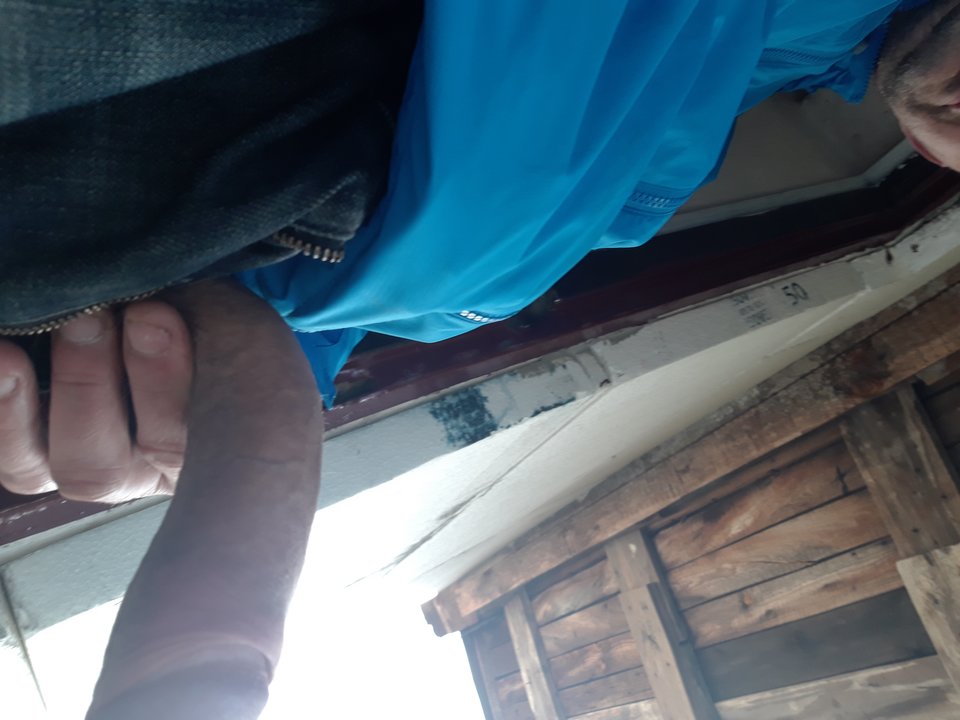 15554797862247333904643406564850.jpg - Lolek2018