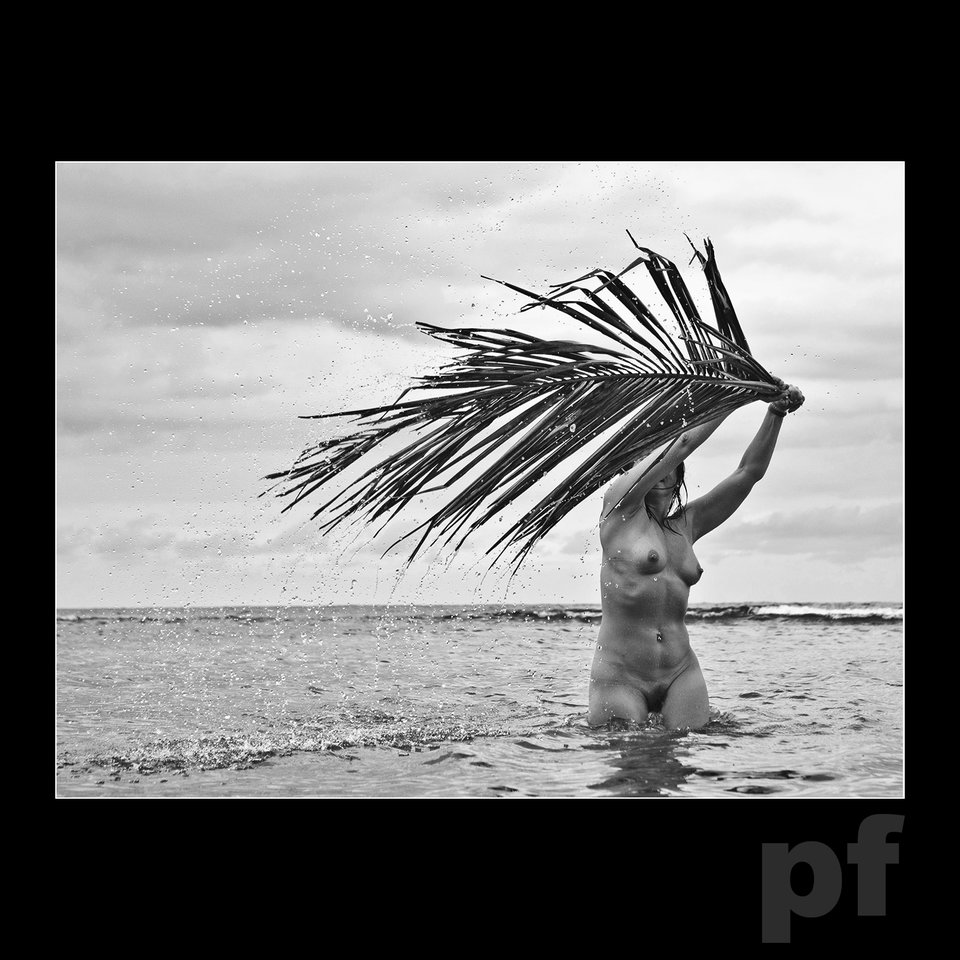 SKRZYDLATA - panfoto