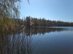 IMG_20190417_122946.jpg