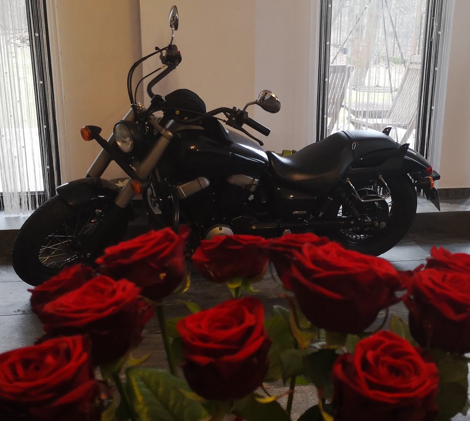 MÓJ CIEŃ.jpg - Nova44