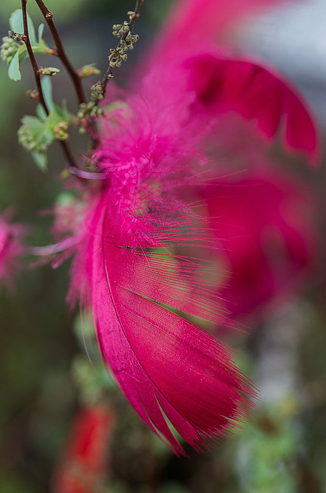 Się przyczepiło - mystic