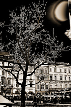 Dziwny jest ten świat