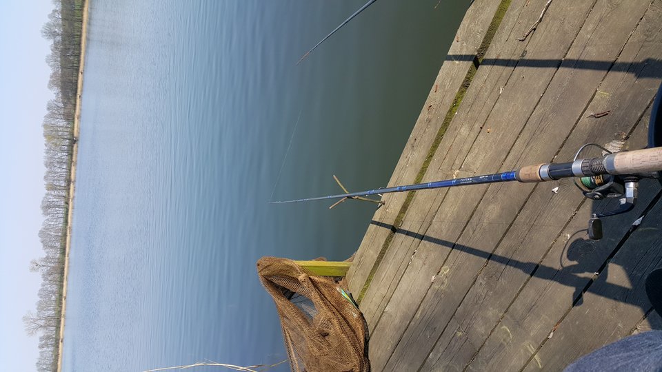 20190407_134233.jpg - tobiasz67