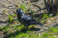 Druga kawka dzisiaj ;)