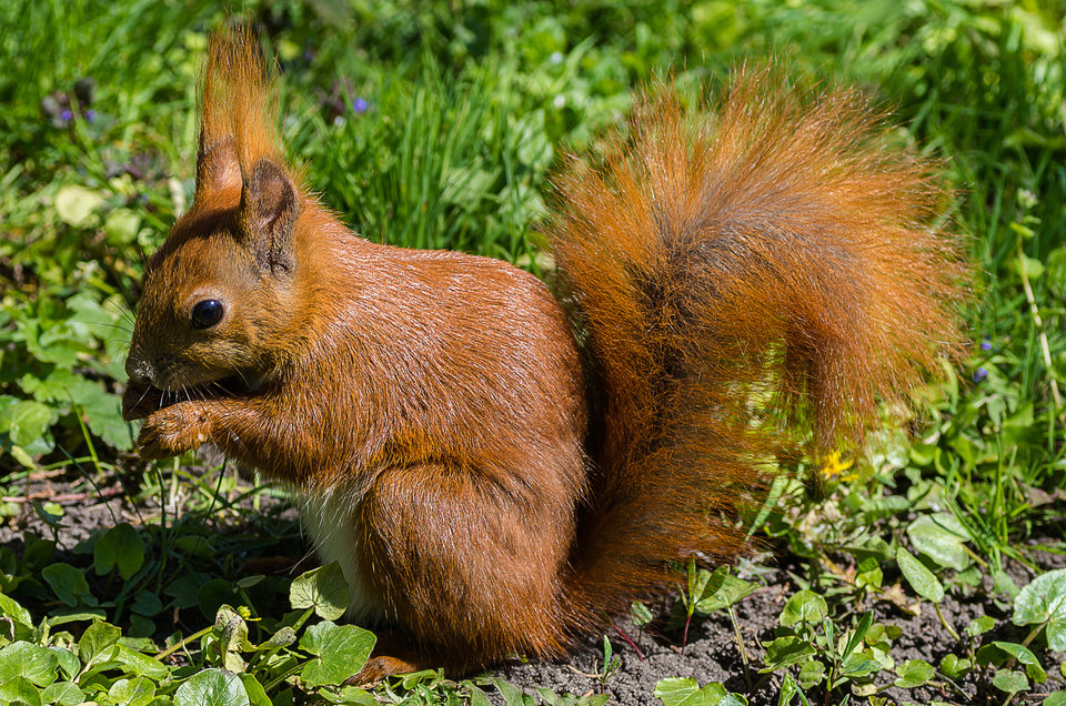 W słoneczku - mystic