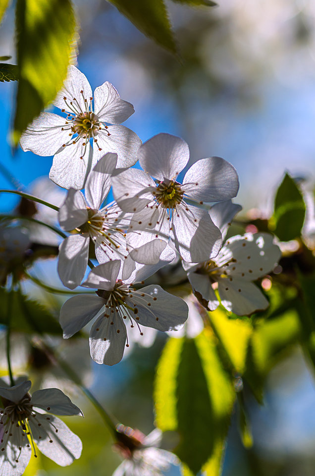 Pod słońce - mystic
