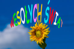 Wesołych i spokojnych Świąt dla Wszystkich