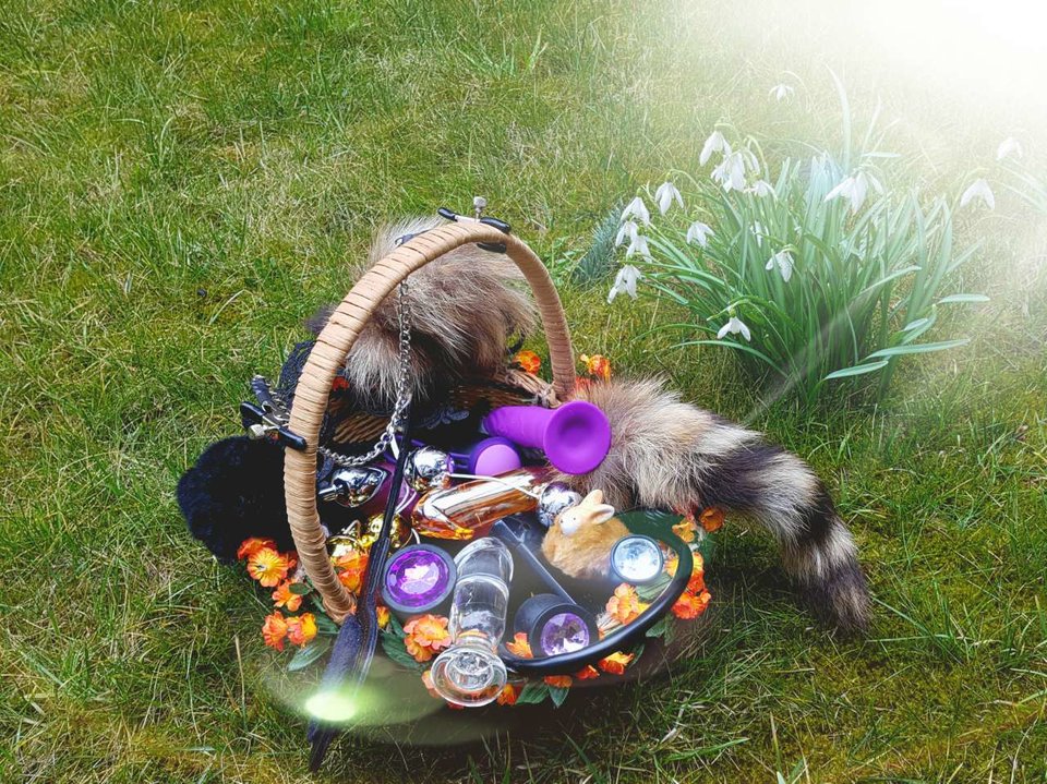 Koszyk obfitosci 😎 - mpzw2