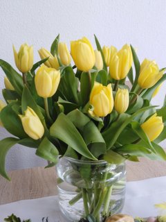 IMG_20190420_134944.jpg