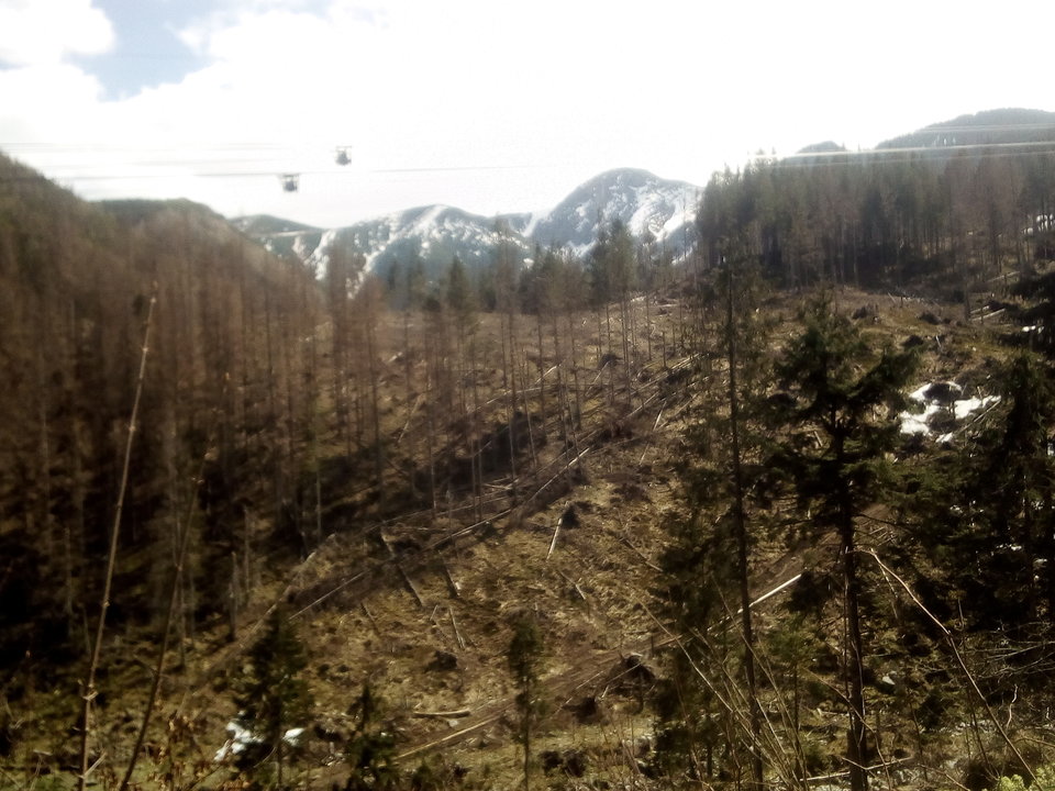 IMG_20190421_130018.jpg - mak31