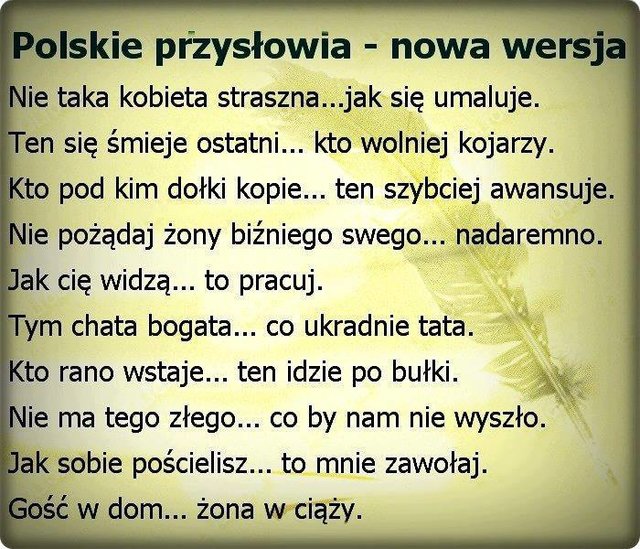 58647121_398711104193477_3113417613867220992_n.jpg - Rafikasi