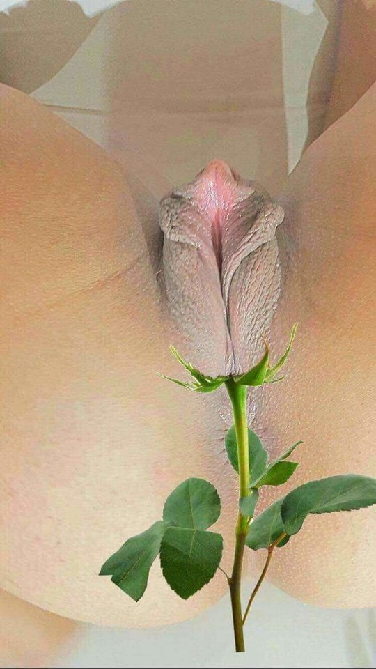 IMG-20190208-WA0022.jpg - Gosc9