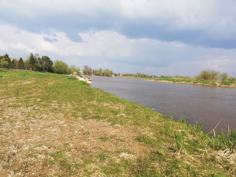 Wiosennie - Piotrtor1