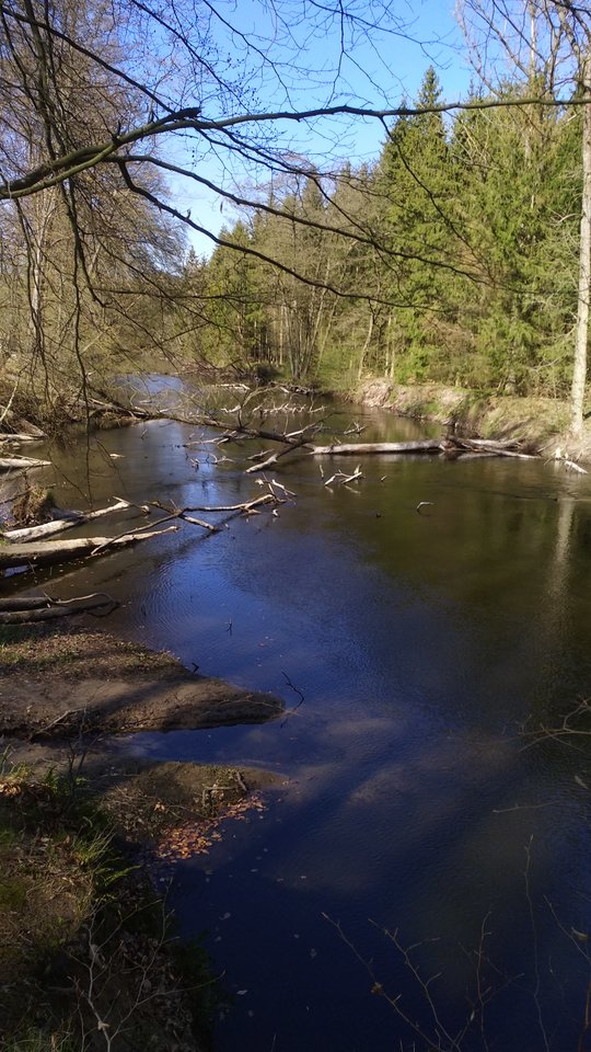 IMG_20190422_153152.jpg - bobb2