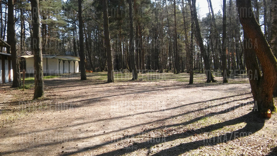 A tak wygląda pole namiotowe "Leśne" - myrazemga
