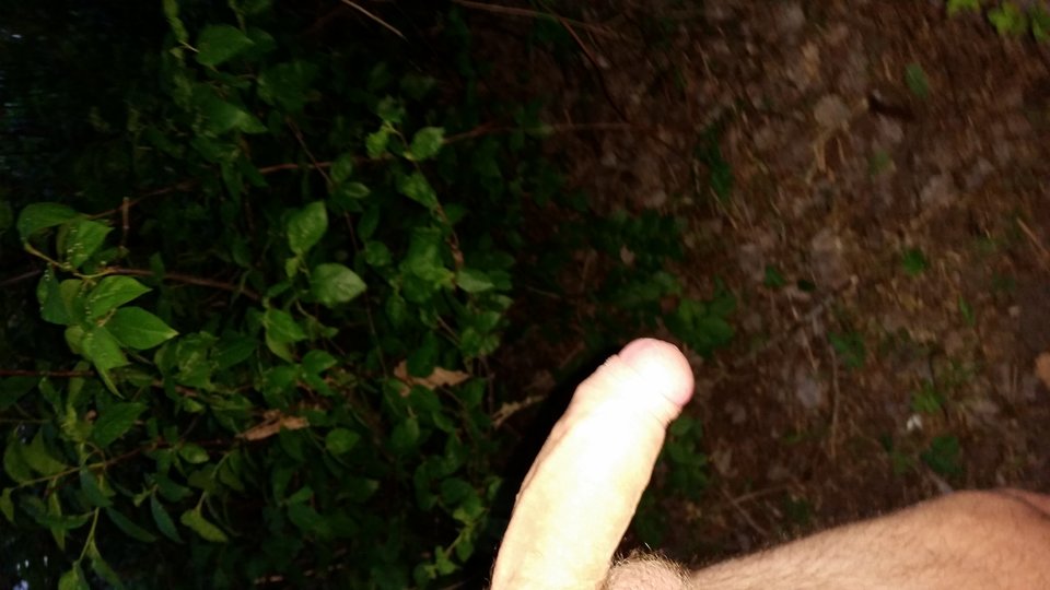 20190423_195628.jpg - jan2121