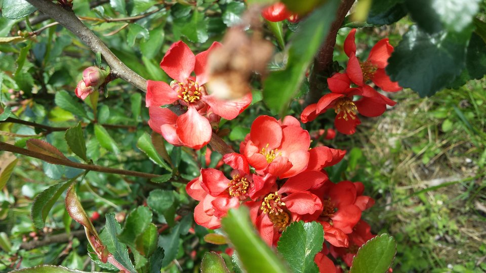 20190424_130405.jpg - Karolsun38