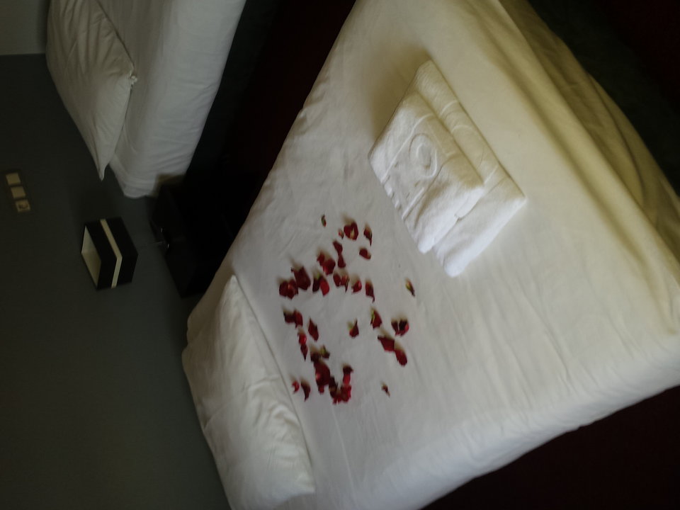 20170210_140801 (1).jpg - Lukasz89PL