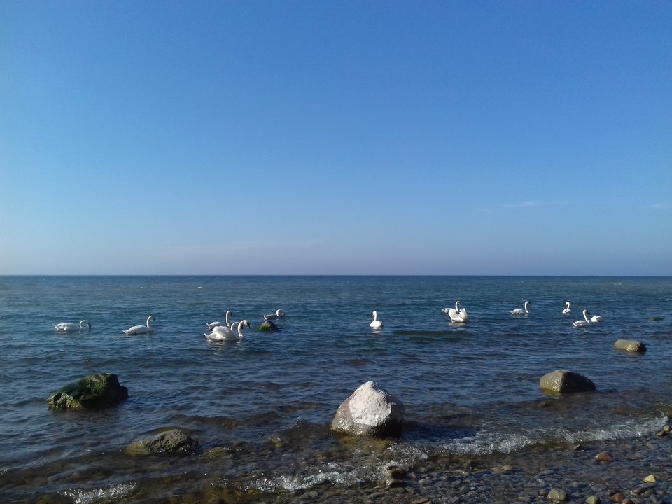 20190425_172005.jpg - torii99